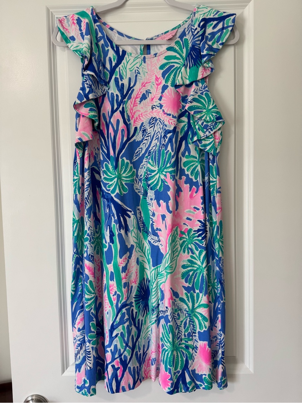 Woman’s Ruffle Sleeve Dress